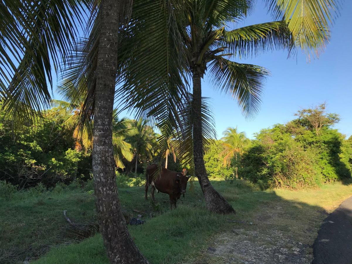 Apartamento Les Cauris De L'Anse Sainte-Anne  Exterior foto
